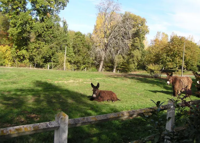 Le Petit Du Theil Au Servant *